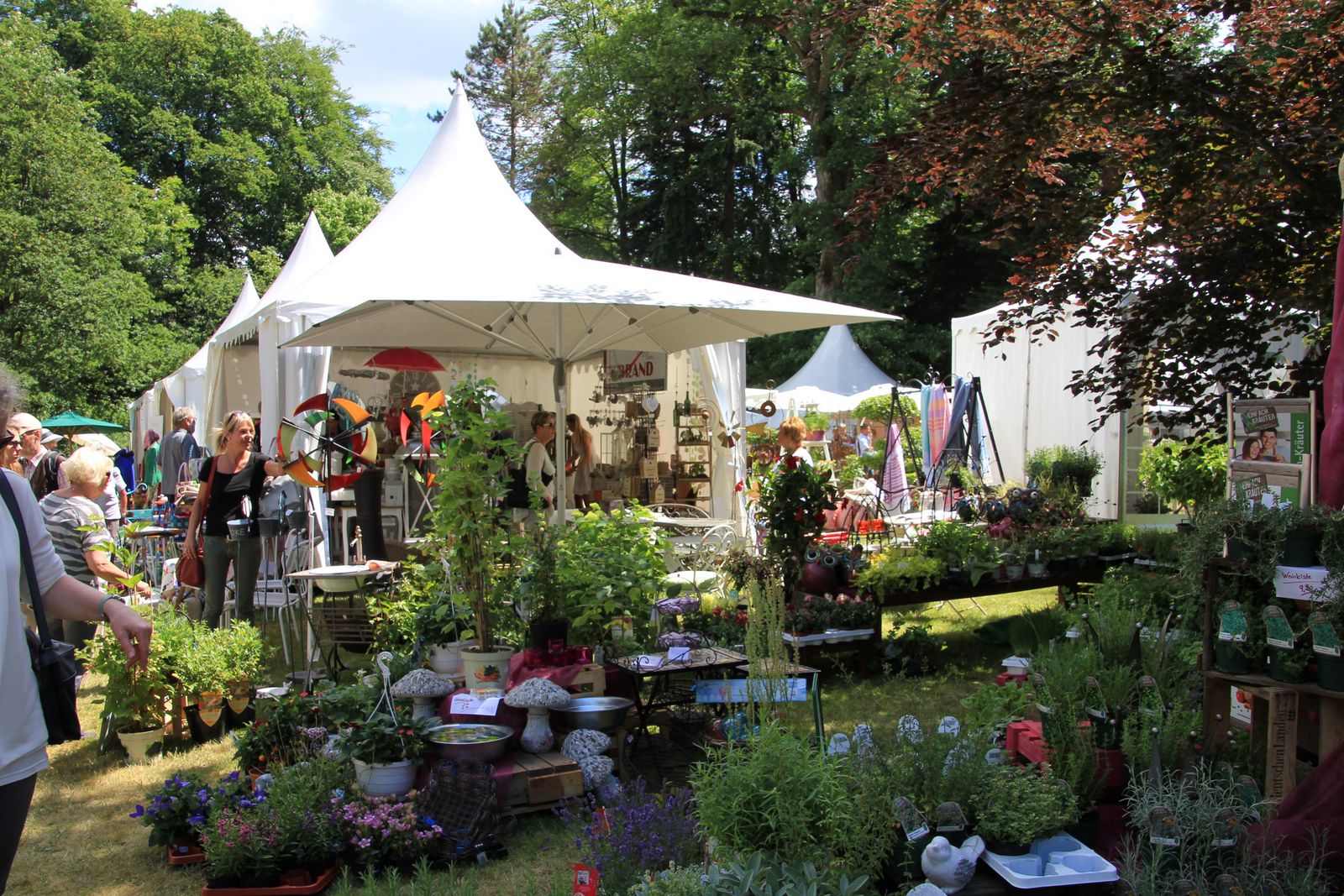 Du betrachtest gerade Country Fair Eulenbach Sa. 21.06.25